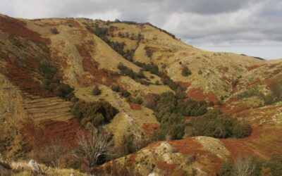 Pastoralism of the Apuan Alps. Roundtable.